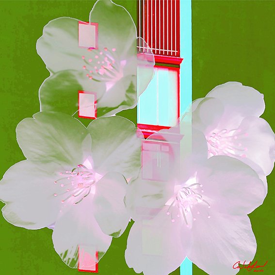 Carmen Wakeford - The Architecture of Spring
